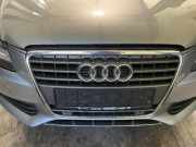 Kühlergrill grau, Q4 / Y7G AUDI A4 (8K, B8) 2.7 TDI 140 kW 190 PS (11.2007-03.