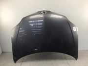 Motorhaube NISSAN Primera Traveller (WP12)