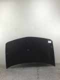 Motorhaube Renault Megane II BM/CM