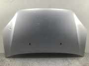 Motorhaube grau/Silber, Polar-Silber Metallic FORD Fiesta V (JH, JD) 1.4 59 kW
