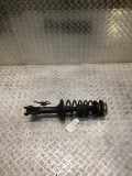 Federbein links vorne DAIHATSU Sirion (M1)