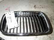 Kühlergrill BMW 3er (E46)