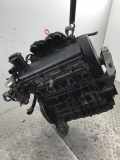 Motor ohne Anbauteile VW Caddy III Kombi (2KB)