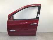 Tür links vorne RENAULT Clio III (BR0/1, CR0/1)