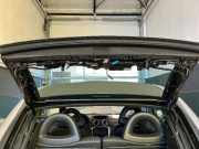 Heckscheibe CITROËN C3 Pluriel (HB) 1.4 54 kW 73 PS (05.2003-12.2010) TU3A bl