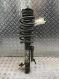 Federbein links vorne FORD Fiesta V (JH, JD)