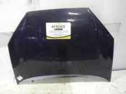 Motorhaube FORD Focus Turnier (DNW)