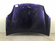 Motorhaube FIAT Bravo II (198)