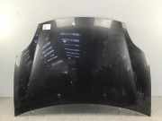 Motorhaube FIAT Bravo II (198)