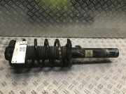 Federbein links vorne VW Passat B7 Variant (365)