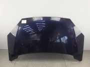 Motorhaube FORD Galaxy (WGR)