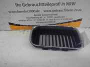 Kühlergrill BMW 3er (E36) 5113-8151548