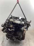 TOYOTA Corolla Kombi E12 Motor ohne Anbauteile 1CDFTV 2.0 D-4D 66 kW 90 PS 01.20