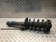 Federbein links vorne VW Passat B6 Variant (3C5)