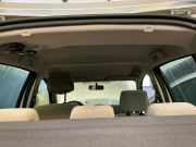 Himmel RENAULT Clio III (BR0/1, CR0/1)