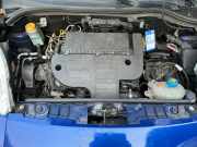 Kühler FIAT Qubo (225)