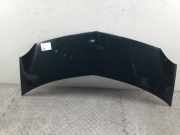 Motorhaube RENAULT Modus - Grand Modus (P) 1.2 48 kW 65 PS (05.2005-> ) Kra