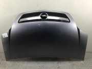 Motorhaube OPEL Meriva A 1.3 CDTI 55 kW 75 PS (09.2003-05.2010) Kratzer, Ge