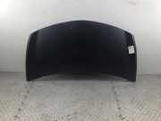 Motorhaube RENAULT Clio III (BR0/1, CR0/1)