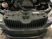 Kühlergrill SKODA Fabia III (NJ)