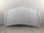 Motorhaube RENAULT Clio III (BR0/1, CR0/1)