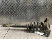 Federbein links vorne AUDI A4 Avant (8E, B6) 2.0 96 kW 131 PS (09.2001-12.2004