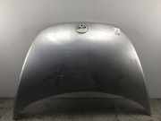 Motorhaube VW New Beetle (9C)