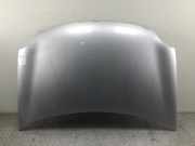 Motorhaube VW Polo IV (9N, 9A)