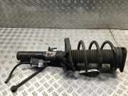 Federbein rechts vorne FORD Focus C-MAX (C214)