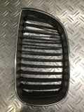 Kühlergrill Grau BMW 1er (E81) 120d 120 kW 163 PS (03.2007-12.2011) NIERE LI