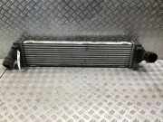 Ölkühler FORD S-Max I (WA6) 6G919L440AF