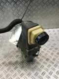 Servopumpe RENAULT Laguna III (T) 491100023R