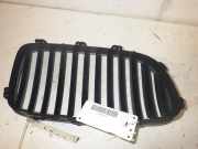 Kühlergrill BMW 5er Touring (F11)