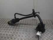 Servopumpe CHRYSLER Voyager IV (RG) 20602164F