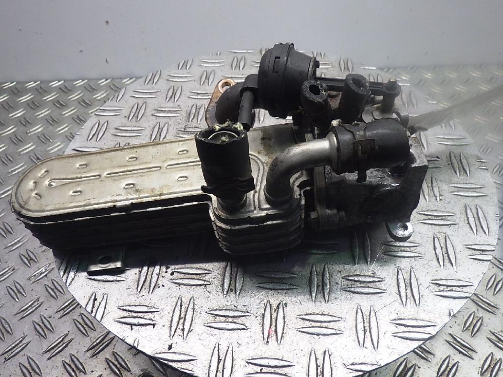 Abgask�hler 038131513J SKODA Octavia II Combi 1Z BKD 2.0 TDI 103 kW 140 PS 02.20