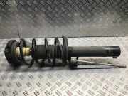 Federbein rechts vorne VW Sharan (7N)