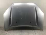 Motorhaube TOYOTA RAV 4 II (A2)