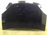 Motorhaube blau DACIA Sandero I (BS) 1.4 MPI 55 kW 75 PS (06.2008-> ) Kratze