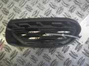 Lüftungsgitter für Stoßfänger JAGUAR E-Pace (X540) J9C3-15A299-B