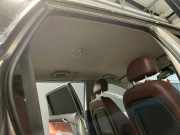 Himmel OPEL Antara (L07) 2.0 CDTI 4x4 110 kW 150 PS (07.2006-12.2011) Z20DMH M