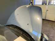 Motorhaube blau, BLAU PANAM CITROËN C3 Pluriel (HB) 1.4 54 kW 73 PS (05.2003-1