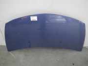 Motorhaube RENAULT Clio III (BR0/1, CR0/1)