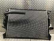 Kühler FORD S-Max II (CJ, WA6) G2G3-8005-BG