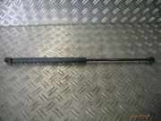 Gasfeder für Motorhaube VW Golf IV (1J)