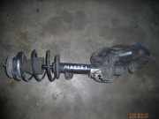 Federbein links vorne BMW 3er Coupe (E46)