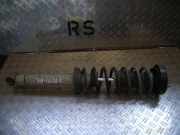 Federbein links hinten BMW 5er (E39)