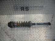 Federbein links hinten FORD Fiesta IV (JA, JB)
