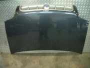 Motorhaube FIAT Doblo Van (119, 223)