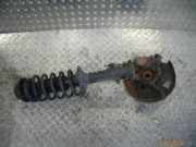 Federbein links vorne VW Golf III (1H)