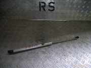 Gasfeder für Motorhaube VW Lupo (6X/6E)